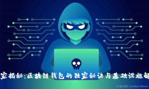 专家揭秘：区块链钱包的独家秘诀与基础设施解读