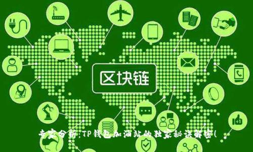 专家分析：TP钱包加油站的独家秘诀解密！