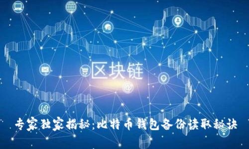 专家独家揭秘：比特币钱包备份读取秘诀