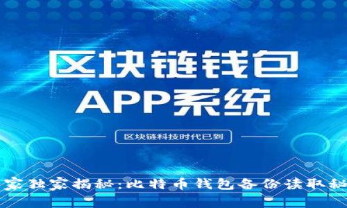 专家独家揭秘：比特币钱包备份读取秘诀