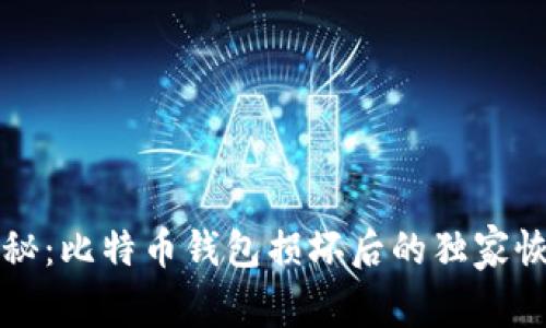专家揭秘：比特币钱包损坏后的独家恢复秘诀