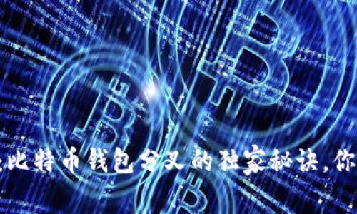专家揭秘：比特币钱包分叉的独家秘诀，你必须知道！