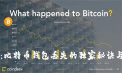 专家揭秘：比特币钱包丢