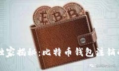 专家独家揭秘：比特币钱