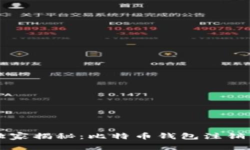 专家独家揭秘：比特币钱包注销的秘诀