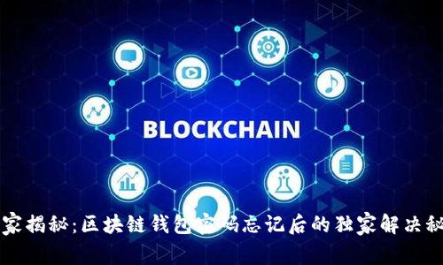 专家揭秘：区块链钱包密码忘记后的独家解决秘诀