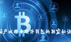 专家揭秘：国产比特币硬