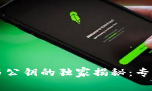 以太坊钱包地址与公钥的独家揭秘：专家分享的必备知识