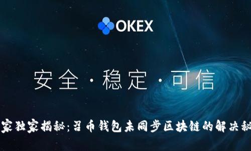 专家独家揭秘：召币钱包未同步区块链的解决秘诀