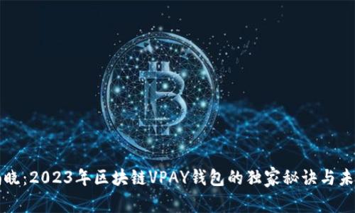 专家揭晓：2023年区块链VPAY钱包的独家秘诀与未来走向