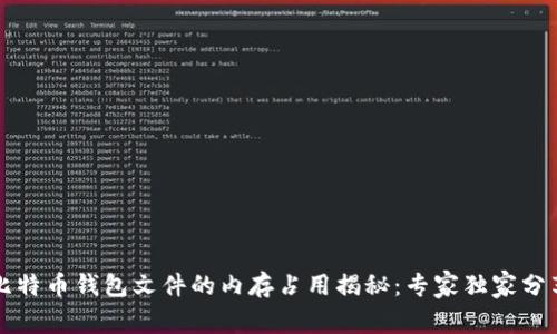 比特币钱包文件的内存占用揭秘：专家独家分享