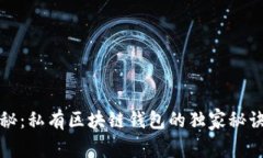 专家揭秘：私有区块链钱