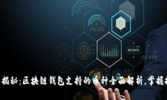 专家独家揭秘：区块链钱