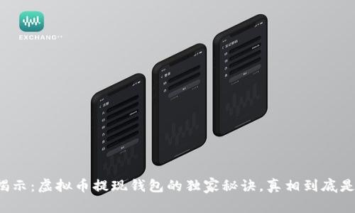 专家揭示：虚拟币提现钱包的独家秘诀，真相到底是什么？