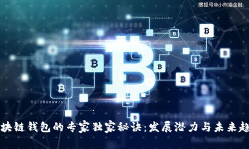 揭秘区块链钱包的专家独家秘诀：发展潜力与未来趋势分析