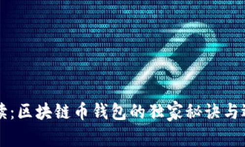 专家解读：区块链币钱包的独家秘诀与选择指南