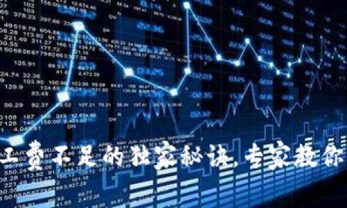 揭秘TP钱包矿工费不足的独家秘诀，专家教你轻松解决问题！
