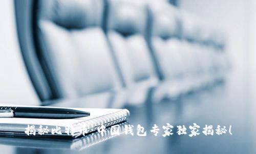 揭秘比特币：中国钱包专家独家揭秘！