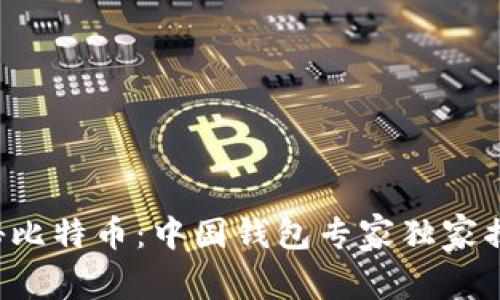 揭秘比特币：中国钱包专家独家揭秘！