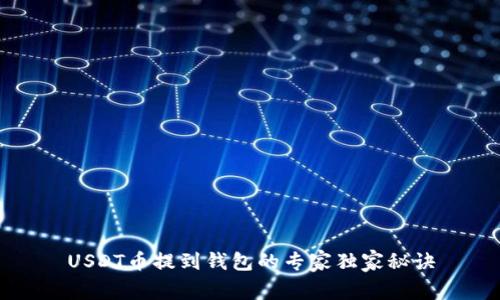 USDT币提到钱包的专家独家秘诀