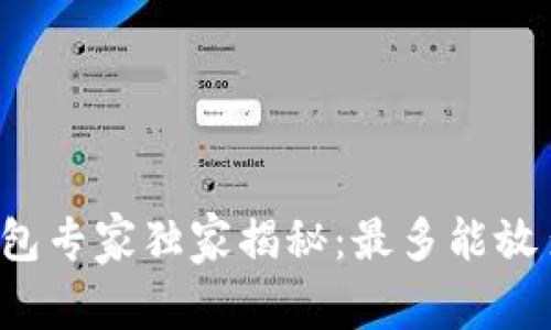 虚拟钱包专家独家揭秘：最多能放多少币？