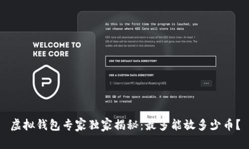 虚拟钱包专家独家揭秘：最多能放多少币？
