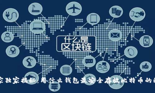 专家独家揭秘：用什么钱包最安全存放比特币的秘诀