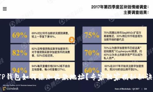 TP钱包如何添加收款地址？专家独家揭秘秘诀！
