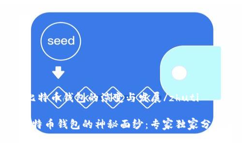 zhuti早期比特币钱包的演变与发展/zhuti

揭开早期比特币钱包的神秘面纱：专家独家分享发展秘诀