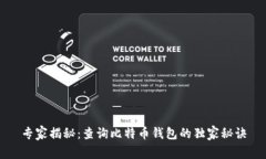 专家揭秘：查询比特币钱