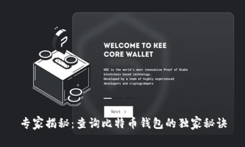专家揭秘：查询比特币钱包的独家秘诀