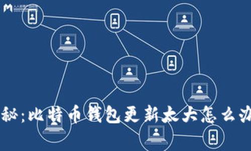 专家独家揭秘：比特币钱包更新太大怎么办？必知秘诀！