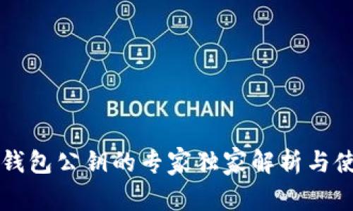 以太坊钱包公钥的专家独家解析与使用秘诀