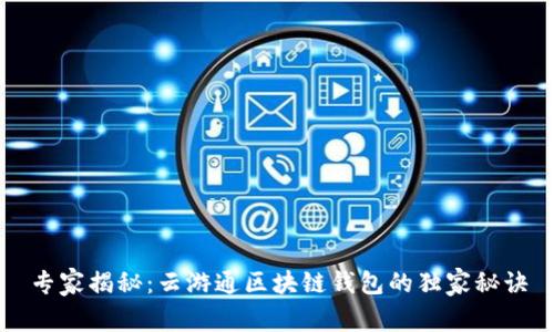 专家揭秘：云游通区块链钱包的独家秘诀