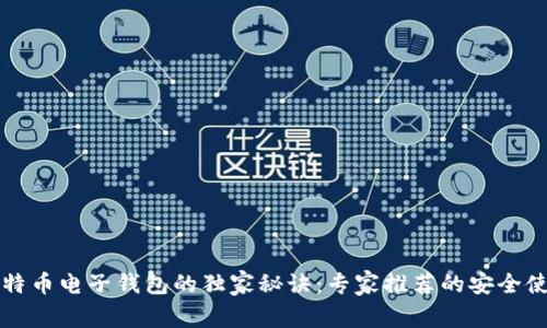 揭开比特币电子钱包的独家秘诀：专家推荐的安全使用指南