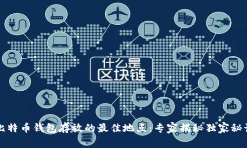 比特币钱包存放的最佳地点：专家揭秘独家秘诀