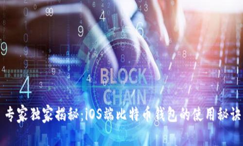 专家独家揭秘：iOS端比特币钱包的使用秘诀