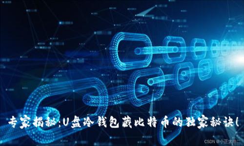 专家揭秘：U盘冷钱包藏比特币的独家秘诀！