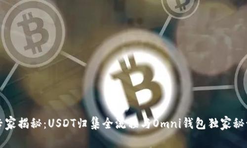 专家揭秘：USDT归集全流程与Omni钱包独家秘诀