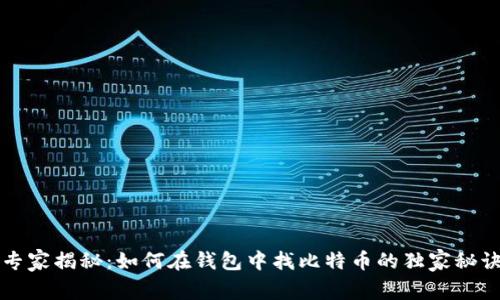 专家揭秘：如何在钱包中找比特币的独家秘诀