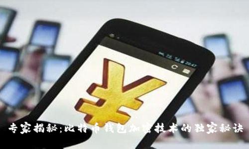 专家揭秘：比特币钱包加密技术的独家秘诀