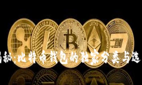 专家揭秘：比特币钱包的独家分类与选择秘诀