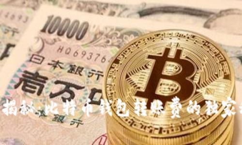 专家揭秘：比特币钱包转账费的独家秘诀！