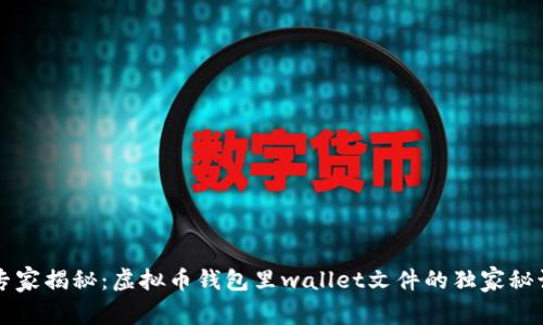 专家揭秘：虚拟币钱包里wallet文件的独家秘诀