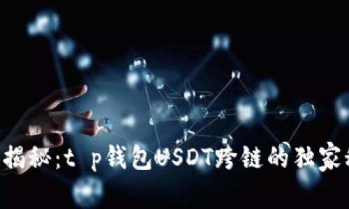 专家揭秘：t p钱包USDT跨链的独家秘诀！