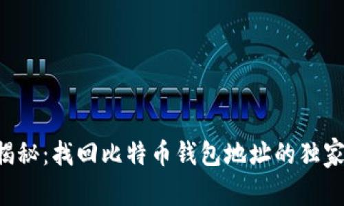 专家揭秘：找回比特币钱包地址的独家秘诀！