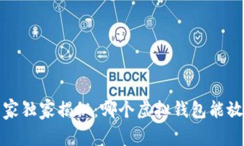 2023年专家独家揭秘：哪个虚拟钱包能放很多币种？