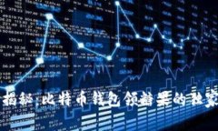 专家揭秘：比特币钱包领