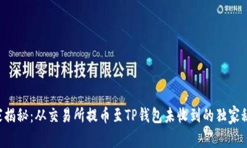 专家揭秘：从交易所提币至TP钱包未收到的独家秘诀！