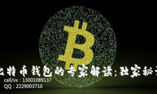 2012年比特币钱包的专家解读：独家秘诀大揭秘！